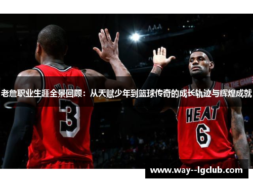 老詹职业生涯全景回顾：从天赋少年到篮球传奇的成长轨迹与辉煌成就