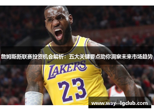 詹姆斯新联赛投资机会解析：五大关键要点助你洞察未来市场趋势