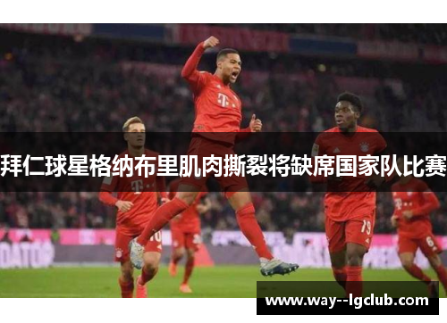 拜仁球星格纳布里肌肉撕裂将缺席国家队比赛 拜仁球星格纳布里肌肉撕裂将缺席国家队比赛
