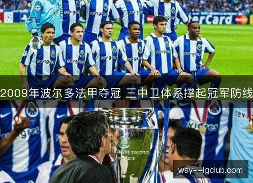 2009年波尔多法甲夺冠 三中卫体系撑起冠军防线 2009年波尔多法甲夺冠 三中卫体系撑起冠军防线